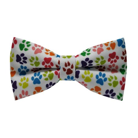 Papion Colorful Paws