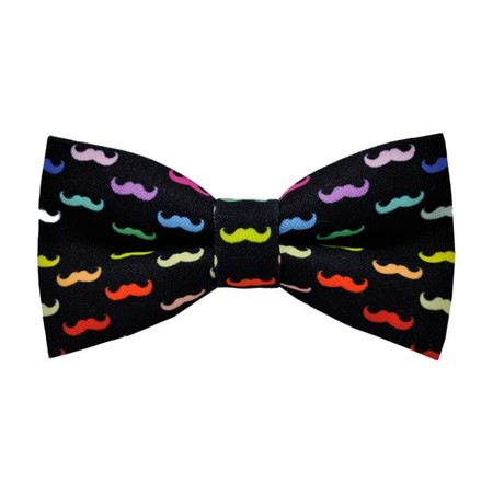 Papion Colourful Moustache