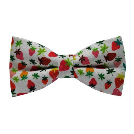 Papion Colorful Strawberries
