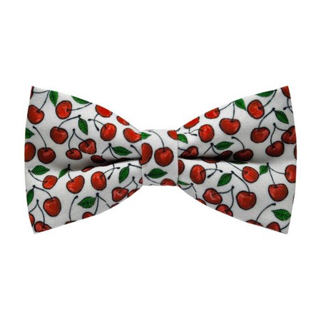 Papion Cherry