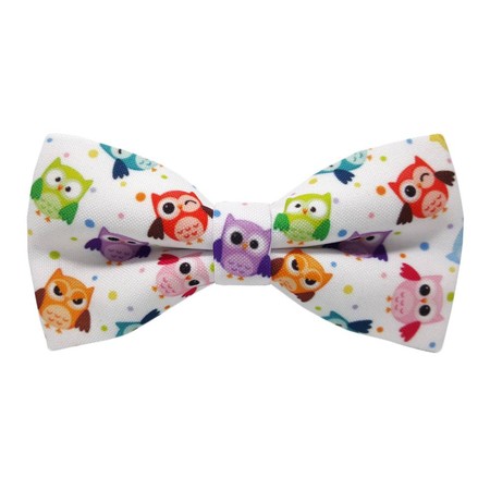 Papion Owl 4
