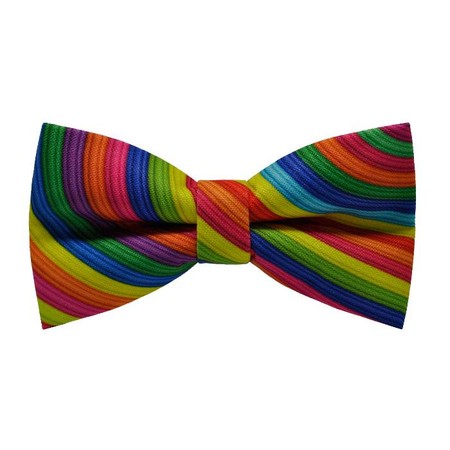 Papion Rainbow I