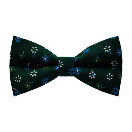 Papion Blue&White Flowers-Green