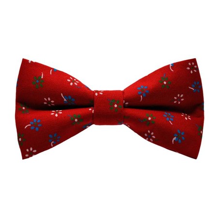 Papion Blue&White Flowers-Red