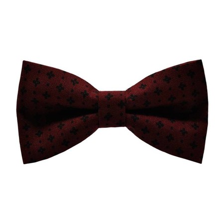 Papion Burgundy&Black Details