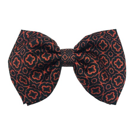 Papion Butterfly Brown