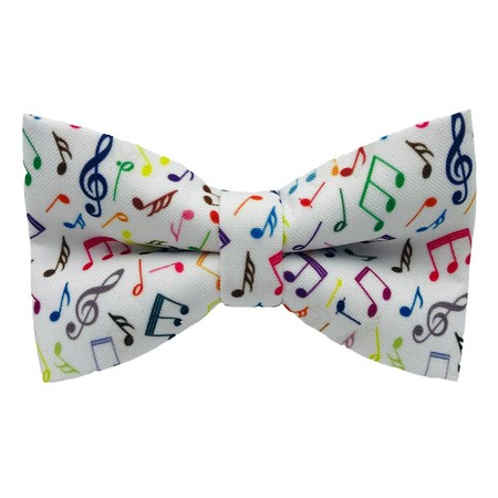Papion Colorful Musical Notes