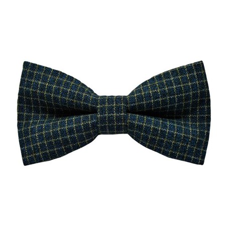 Papion  Fine Blue Details Plaid
