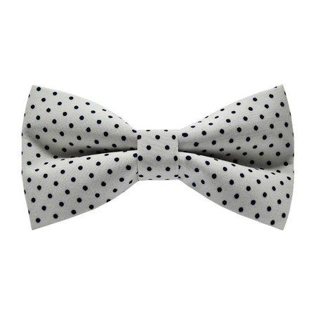 Papion Little Black Dots&White III