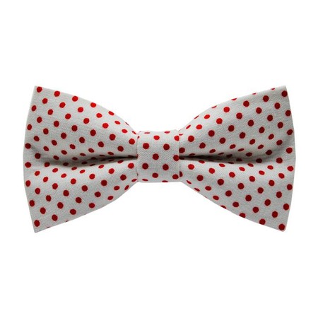 Papion Little Red Dots&White