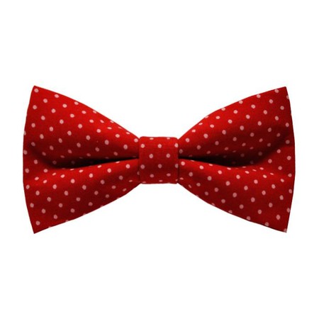 Papion Little White Dots&Red