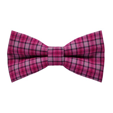 Papion Pink Plaid