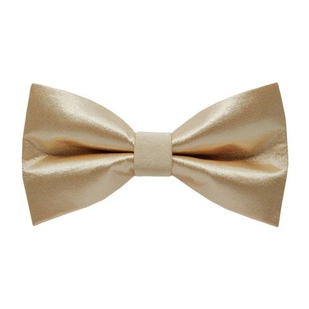 Papion S Apricot