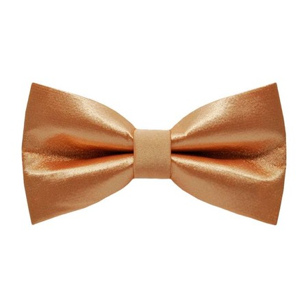 Papion S Persian Orange
