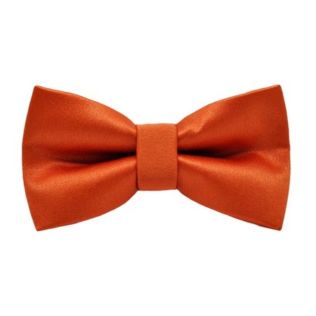 Papion Shiny Orange