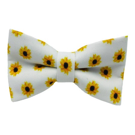 Papion Sunflower