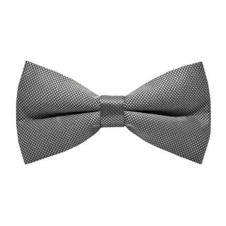Papion Trabucco Gray