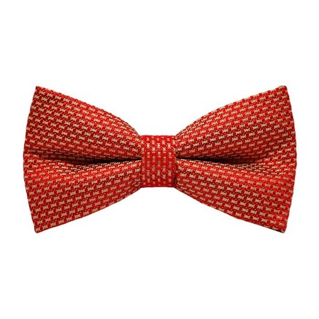 Papion Ceremonie Trabucco Red Pincheck