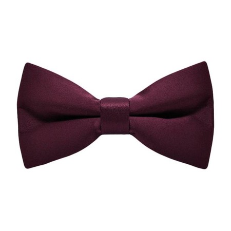 Papion Tyrian Purple