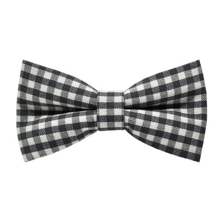 Papion White&Grey Plaid