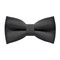 Papion Dark Slate Gray