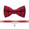 Papion Etnic Red II