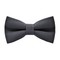 Papion Gray