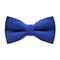 Papion Royal Blue