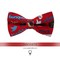 Papion Social Network - Red