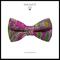 Papion Trabucco Pink