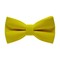 Papion Yellow