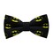 Papion Batman II