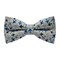 Papion Blue Airplanes