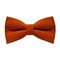 Papion Burnt Orange