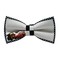 Papion Cars III