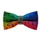 Papion Colourful Music