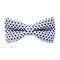 Papion Copii Valentine's - Blue Hearts