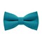 Papion Cyan