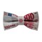 Papion Euro