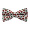 Papion Cherry