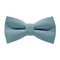 Papion Grey Blue