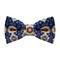 Papion Colorful Etnic