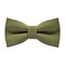 Papion Laurel Green