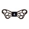 Papion Lemn Butterfly