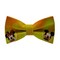 Papion Mickey & Minnie II