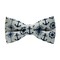 Papion Nautic I