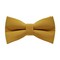 Papion Ocher Yellow
