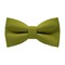 Papion Olive Green