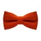 Papion Orange