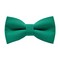 Papion Pine Green
